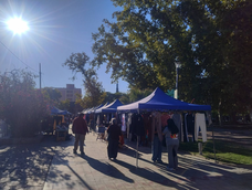 sin plaza para los feriantes, amas de casa apunta a una feria propia en su sede como alternativa
