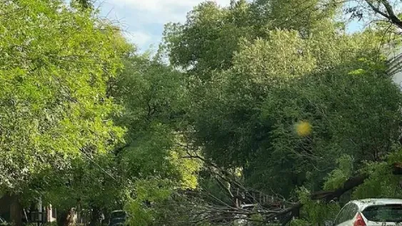 ¿La dañina tormenta de Mendoza puede llegar a San Juan?