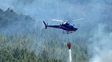 Misiones, Corrientes y Río Negro, con focos activos de incendios forestales