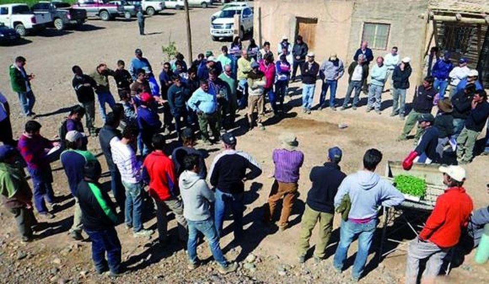 En un mes de transplante, aumentó un 45% el uso de la mecanización