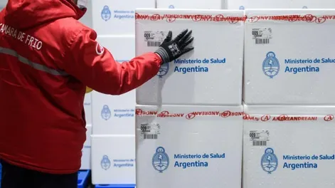 Vizzotti anunció que este viernes llegan las vacunas para niños desde 6 meses