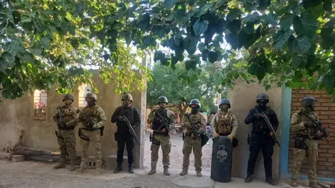 Drogas ilegales: en medio de importante operativo desbarataron un “kiosco”