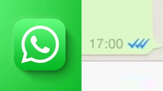 Llega el tercer tilde a WhatsApp: qué significa y para qué sirve
