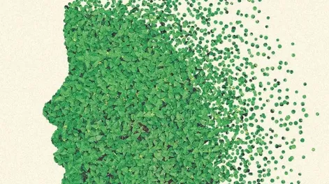 Diario de Cuyo | ambiente_y_genero3_crop1646488934208 728x548.webp