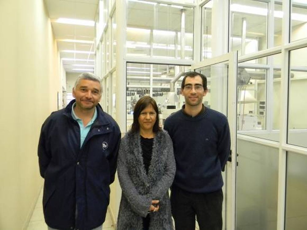 Identificación de hojas de vid a partir de imágenes digitales