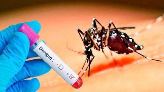 Hallan 13 casos de “coronadengue”