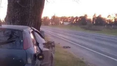 Manejaba un auto, perdió el control y chocó con un árbol: fue hospitalizado