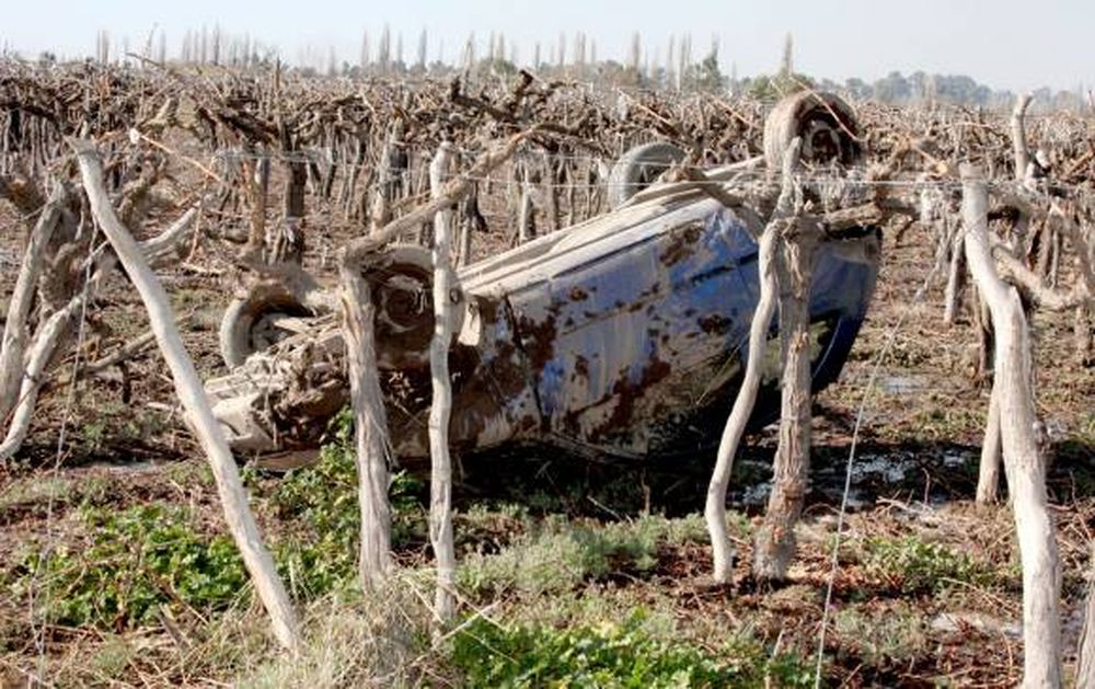 Salvados de milagro