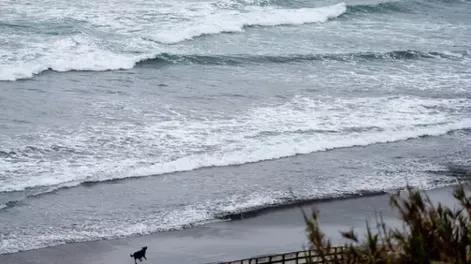 Chile bajó el nivel de alerta por tsunami tras el terremoto en Kamchatka