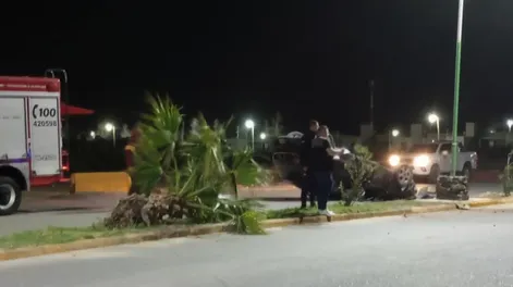 Un nigeriano que viajaba en auto perdió el control, arrancó una palmera y volcó, ¿iba ebrio?