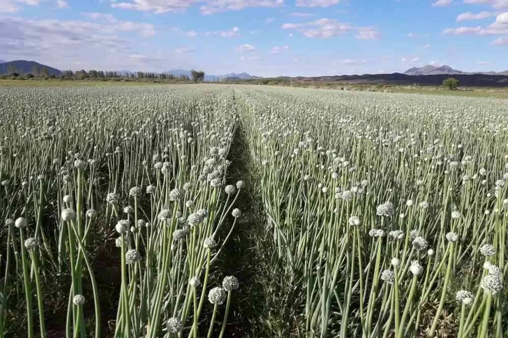 Senasa, con nuevas autoridades