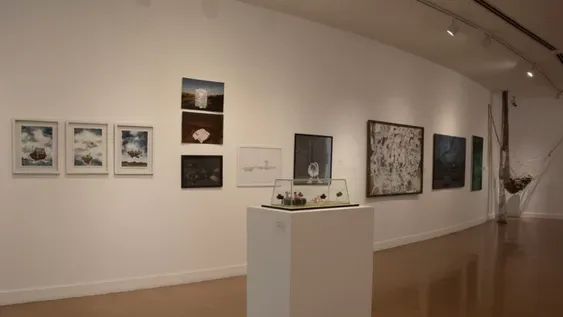 Postal de una muestra anterior del Premio Franklin Rawson a las Artes Visuales