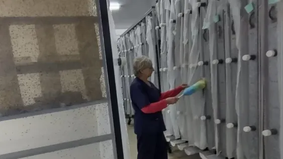 Biotecnología versus mosca de los frutos: el laboratorio donde “fabrican” insectos