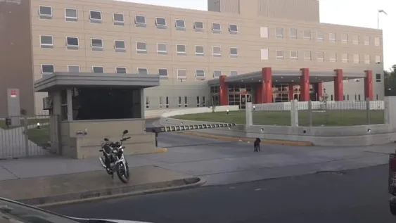 Quedó internado un nene de 4 años por haber ingerido veneno