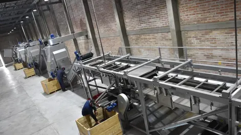 Las empresas paseras invierten fuerte en agregado de valor