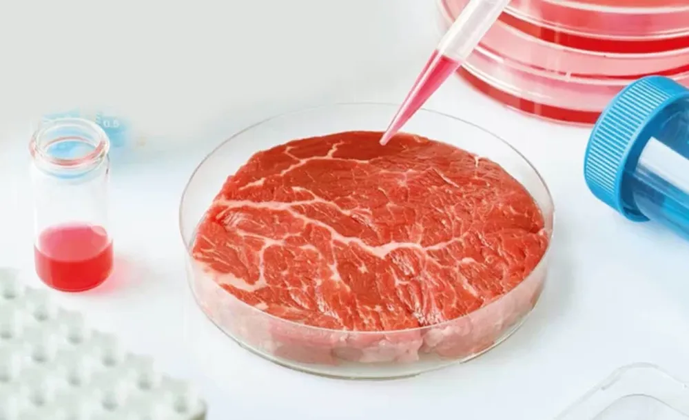 La carne de laboratorio avanza en el mundo: ¿llegará a la Argentina?