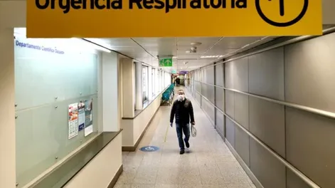 Argentina cerró la semana sin nuevos casos de influenza aviar