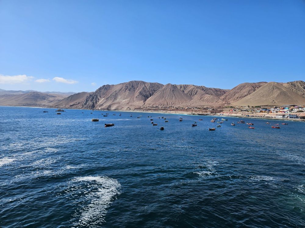 La pesca es la segunda actividad exportadora, aunque en generación de trabajo lideran comercio y servicios a empresarios. 