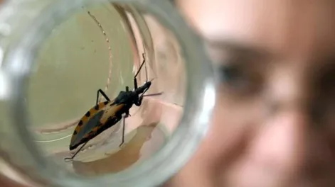 El Gobierno de San Juan impulsa un monitoreo serológico en escuelas para detectar oportunamente la enfermedad de Chagas y acercar tratamiento a niños y adolescentes de seis departamentos.
