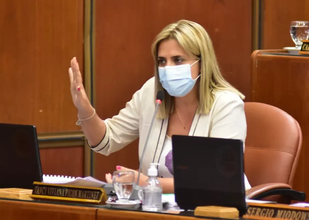 Para la diputada Nancy Picón, copiar proyectos “está bien”