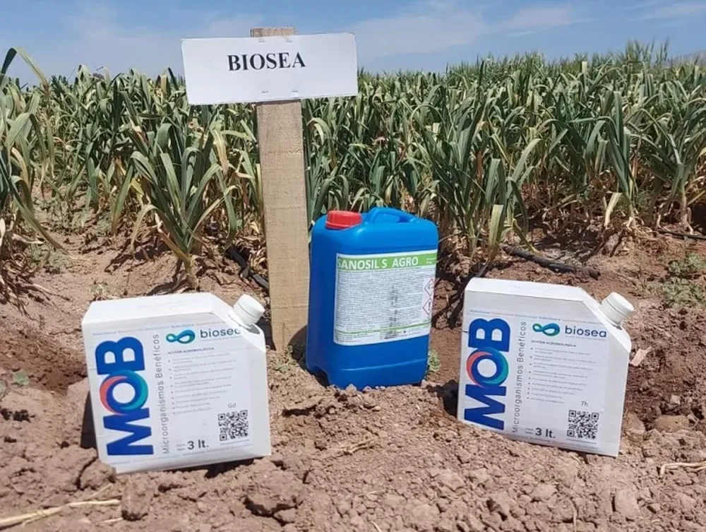 Biosea: soluciones sostenibles en cultivos orgánicos y comunes