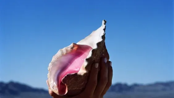 The Killers evoluciona