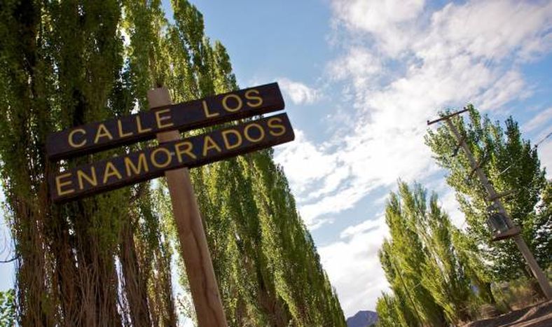 Aprueban el plan de ordenamiento territorial que regirá en Calingasta