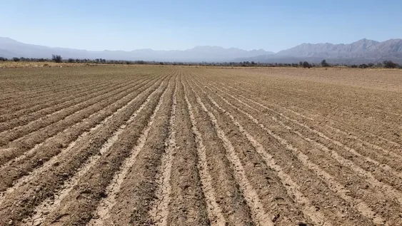 Productores jachalleros dialogaron con autoridades para ver opciones