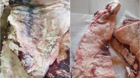 Robó 15 kilos de carne vacuna de una carnicería y terminó tras las rejas