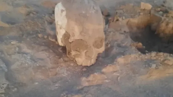 Confirman que el cráneo encontrado en Ullum contiene un orificio de bala