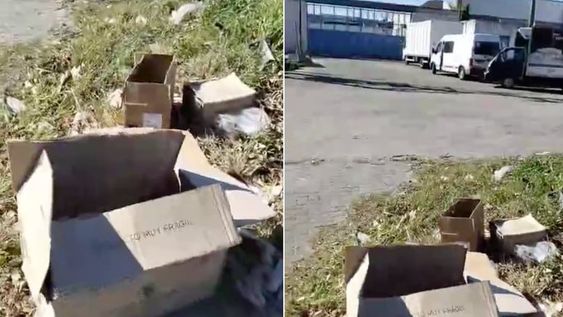 Un vecino de La Plata encontró cuatro cajas repletas de cabezas de animales muertos.