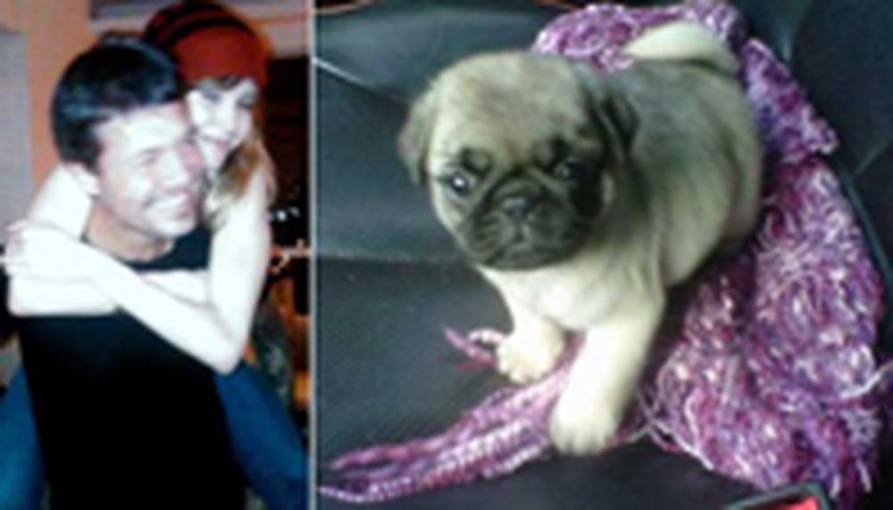 Un perro, el primer regalo público