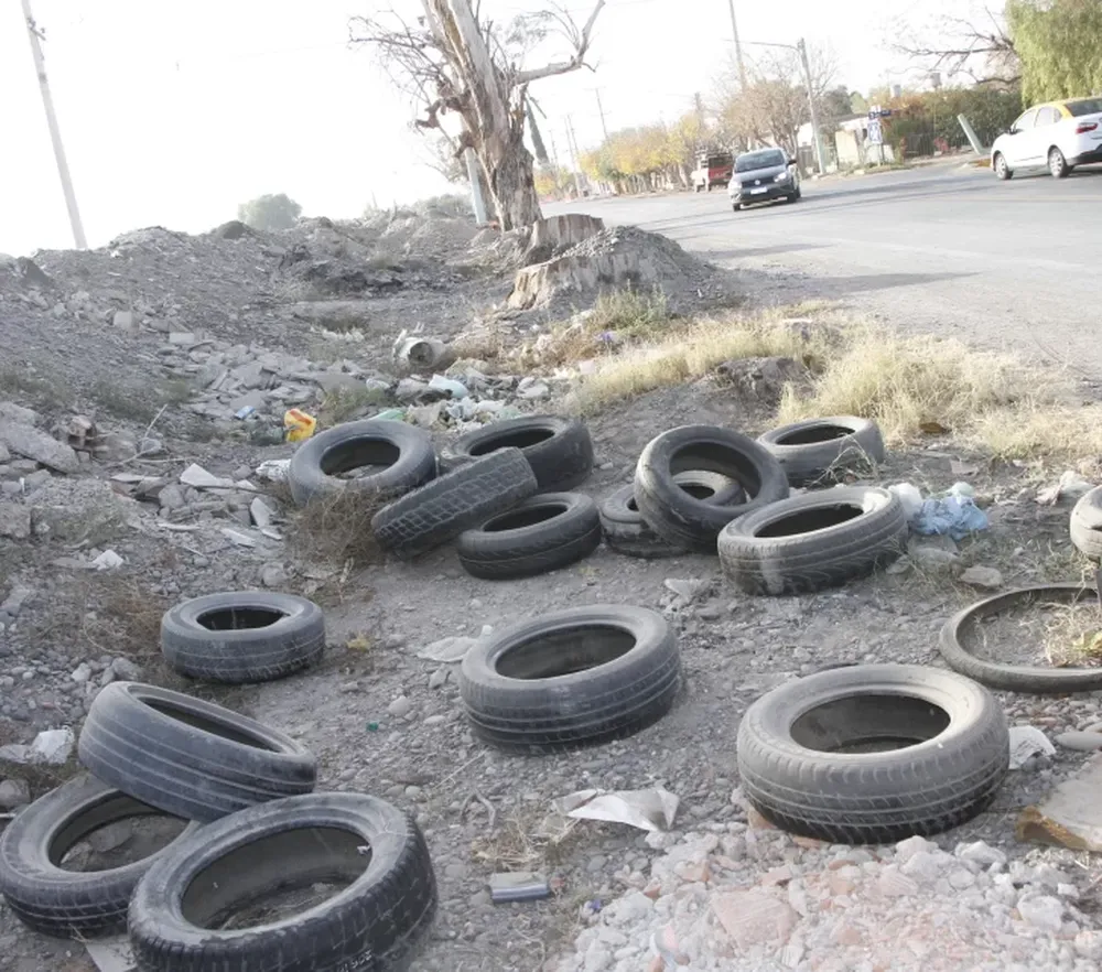 Reclamo vecinal por el costado de una calle que se convirtió en un basural