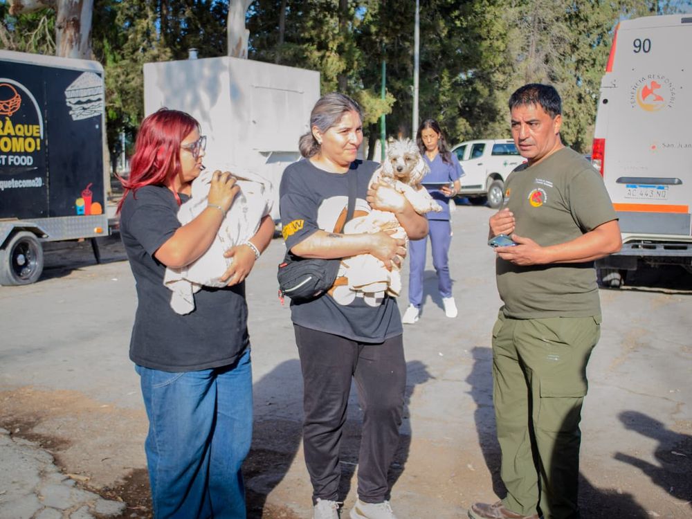 Habrá desde operativos de vacunación para mascotas hasta charlas informativas y educativas por el Día del Animal, organizadas por ambiente. Habrá desde operativos de vacunación para mascotas hasta charlas informativas y educativas por el Día del Animal, organizadas por ambiente.