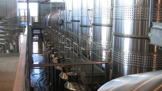 Organizan el primer foro anual de la industria vitivinícola