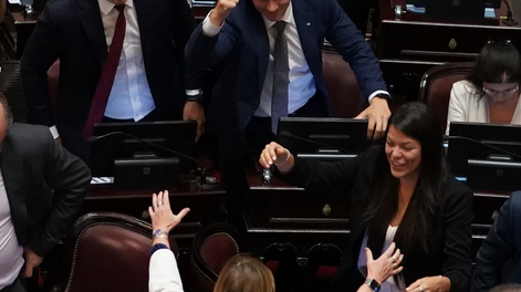 Sesión en el Senado durante el debate del Régimen Penal Juvenil y la baja de la edad de imputabilidad.