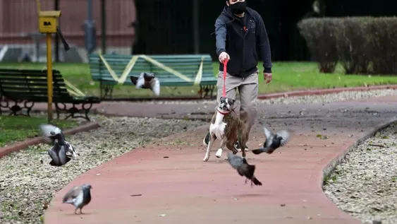 Covid-19 en Argentina: confirmaron 4.192 casos y 46 muertos en las últimas 24 horas