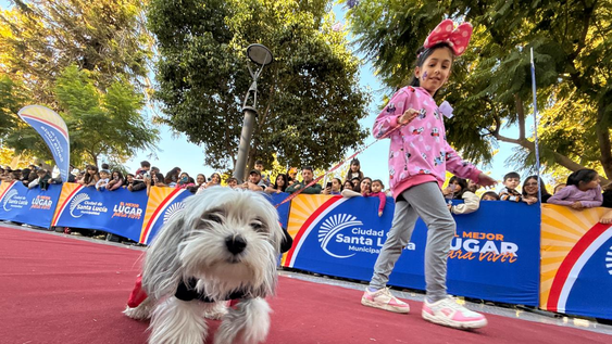 Las mascotas se lucieron en el desfile por el Día del Animal. Las mascotas se lucieron en el desfile por el Día del Animal.