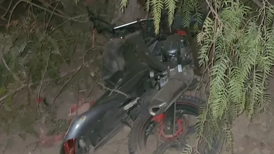 En moto y sin casco, perdió el control, se estrelló contra un árbol y fue su fin