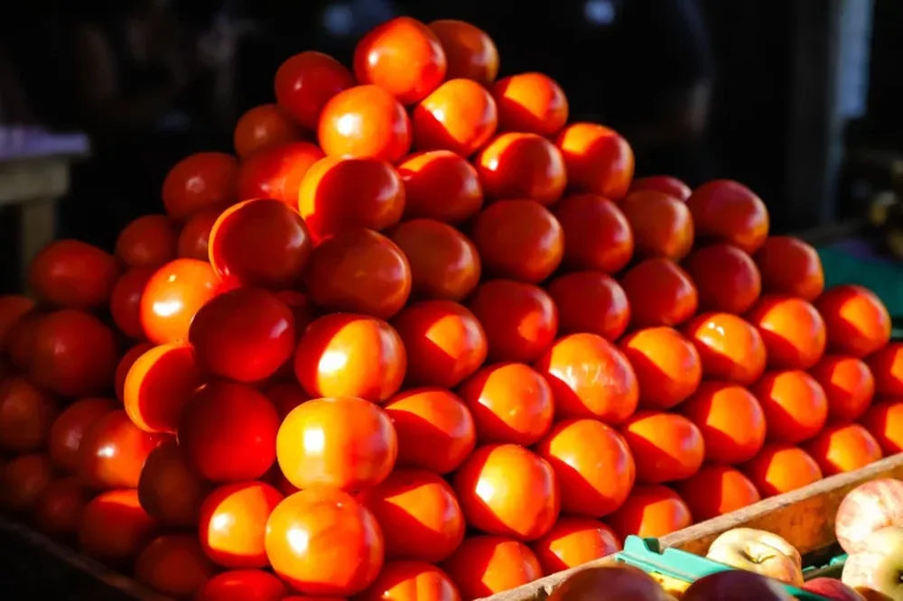 Conocé los precios actualizados de la Feria y Mercado de Abasto