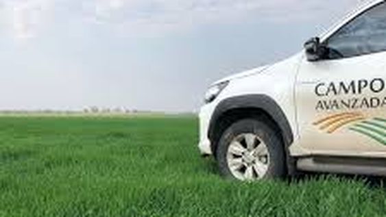 Otra empresa del agro se hunde en el default