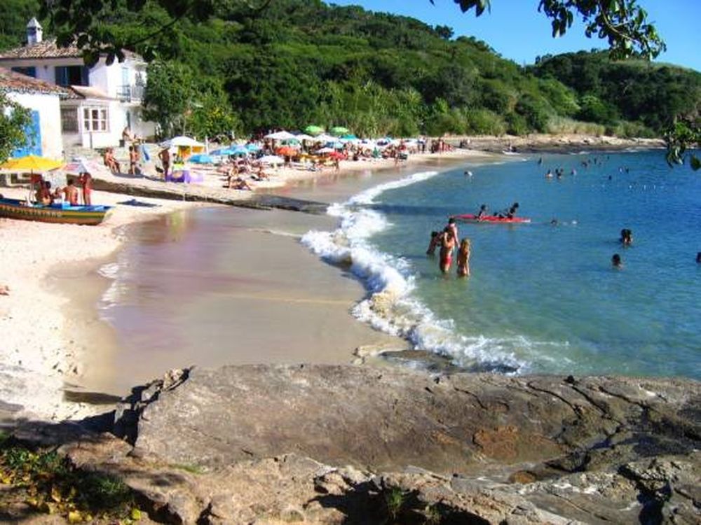 Paraíso mielero