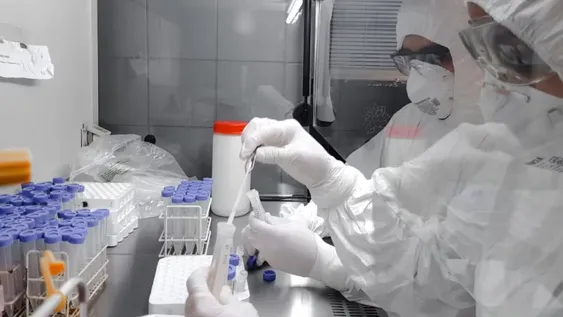 La provincia, en vigilancia para poder detectar nuevas variantes de coronavirus