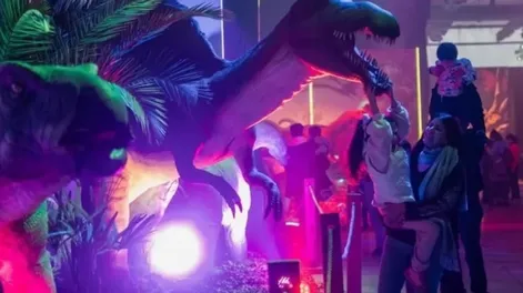 Murió una mujer embarazada en un parque de diversiones: la beba sobrevivió, pero está grave