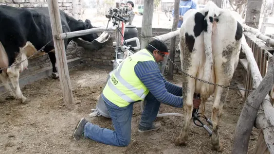 Les donaron vacas e hicieron un tambo para ayudar a merenderos de San Martín