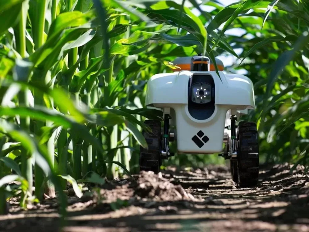 Inteligencia artificial: ¿hay sólo intereses científicos?