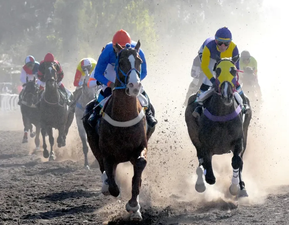 FIESTA. El Jockey club tendrá su gran día del año con el Clásico Sarmiento.
