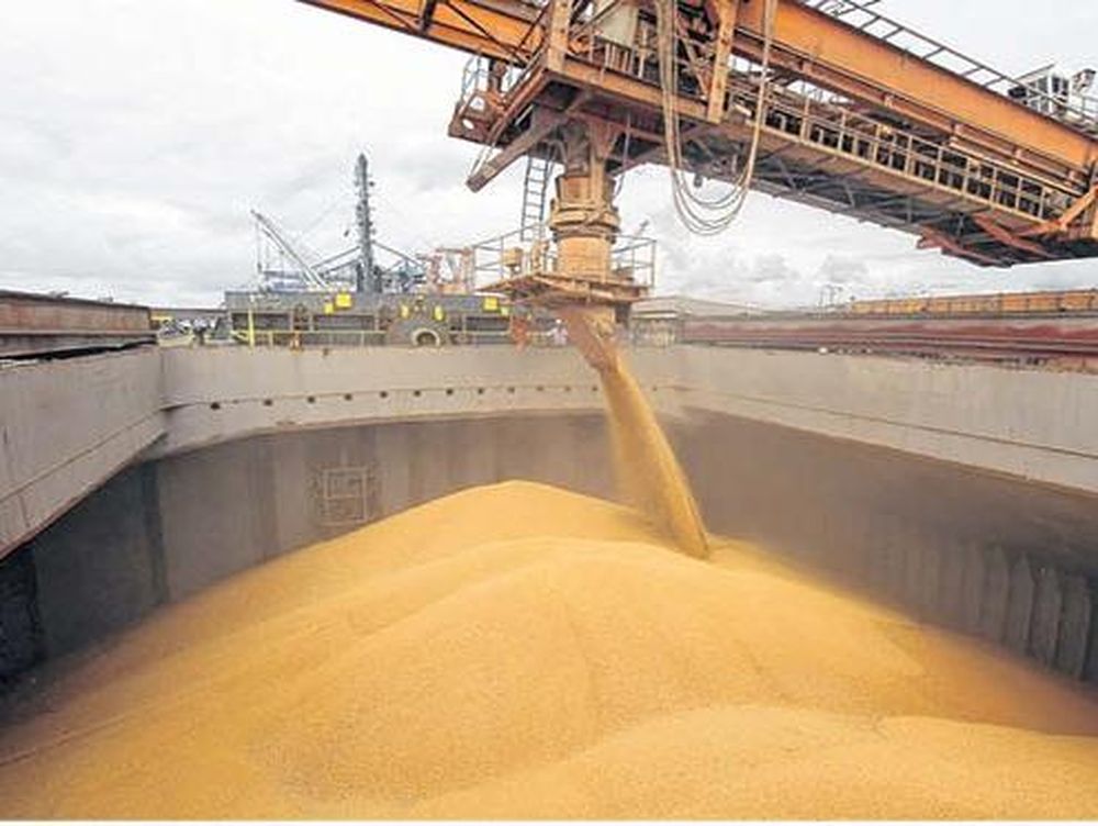 Estiman que la producción agrícola 2023/24 crecería cerca de 40%, impulsada por fenómeno de El Niño