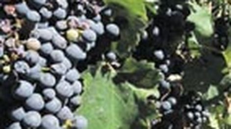 El INV incorporó a su página web un simulador de costos