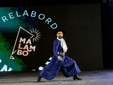 uno por uno, los artistas elegidos para representar a san juan en el festival nacional de malambo 2027